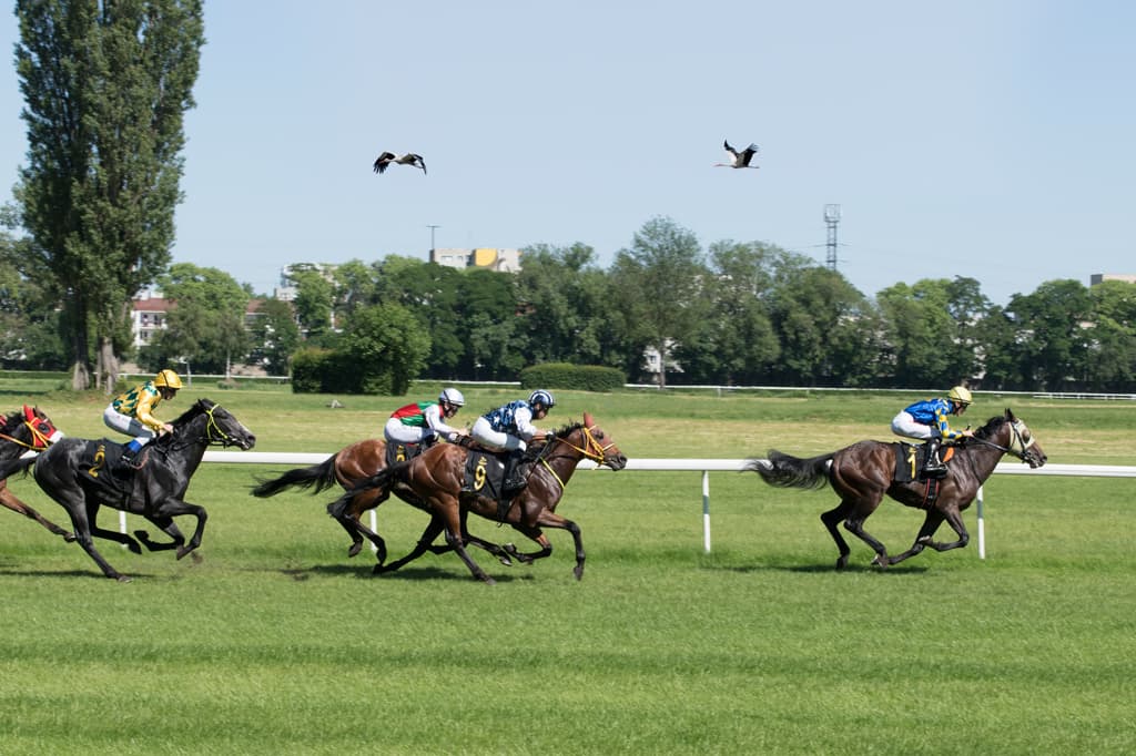 Służewiec Racecourse
