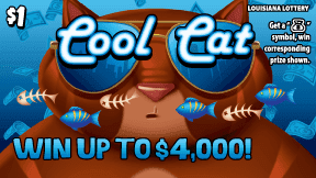 Cool Cat