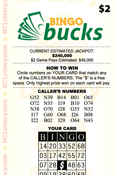 Bingo Bucks
