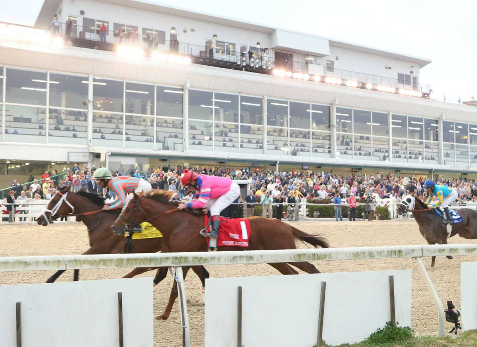 Delta Downs