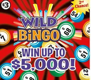 Wild Bingo