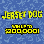 Jersey Dog