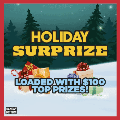 Holiday Surprize