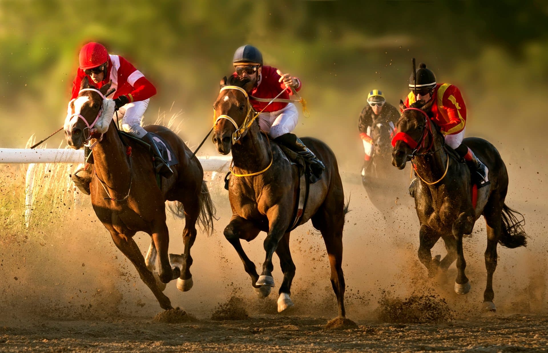 Karlovac Hippodrome